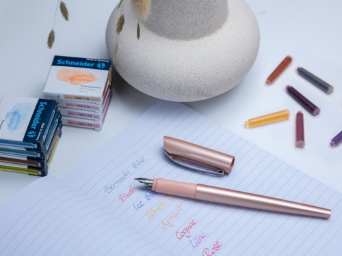 Patron stilou Pastel Caisa 6 buc/cutie Schneider