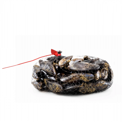 Sigiliu de securitare Ares, 425 mm, galben, Oniloc