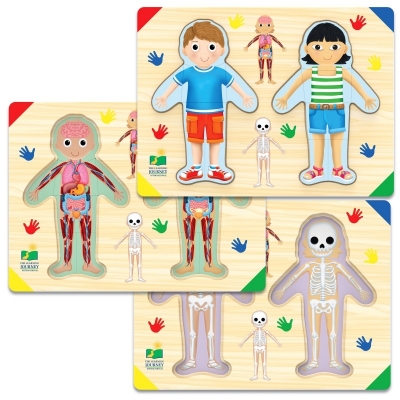 Puzzle - Sa Invatam Corpul Uman The learning journey