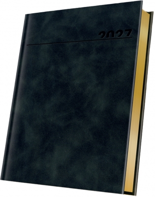 Agenda datata 2027 Herlitz Premium Deluxe Chia, A5, 352 pagini, coperta din piele sintetica, margini folio auriu, culoare negru