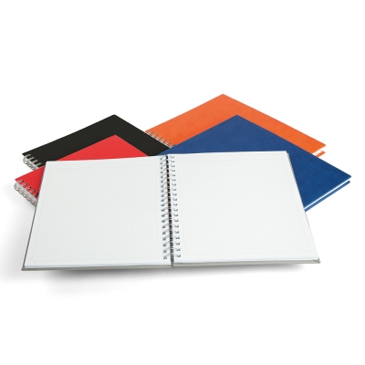 Agenda Premier, 26 cm, nedatata, Ego