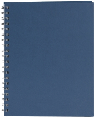 Agenda Premier, 26 cm, nedatata, Ego