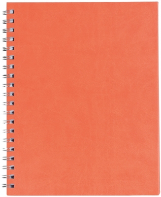 Agenda Premier, 26 cm, nedatata, Ego