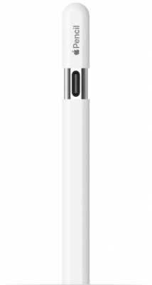 Stylus Apple Pencil (USB-C)