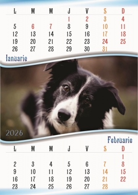Calendar perete, A3, catei, 2026