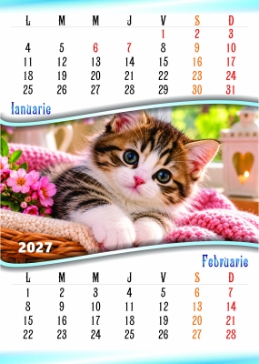 Calendar perete, A3, pisici, 2027