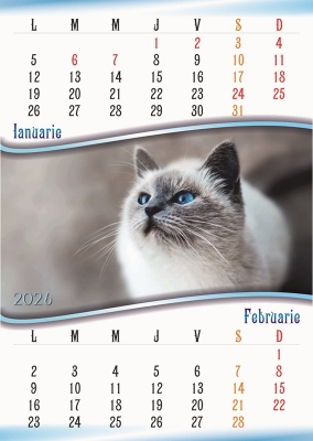 Calendar perete, A3, pisici, 2026
