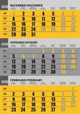 Calendar perete A3 CLASIC, Galben/Gri, 2026