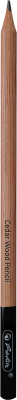 Creion grafit 2B, mina 2.4mm, set 10 + manson creion din silicon si ascutitoare, Herlitz