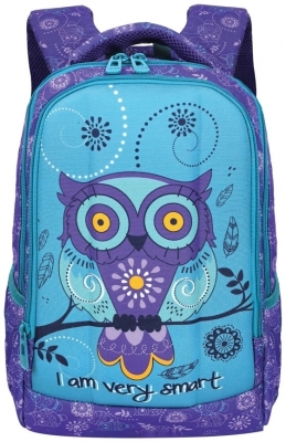Ghiozdan 3D ergonomic S-Cool Owls