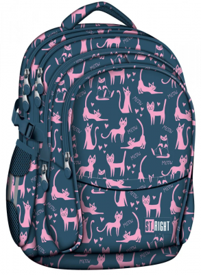 Ghiozdan scolar 4 compartimente, ergonomic, impermeabil, colectia St.Right Lazy Cats