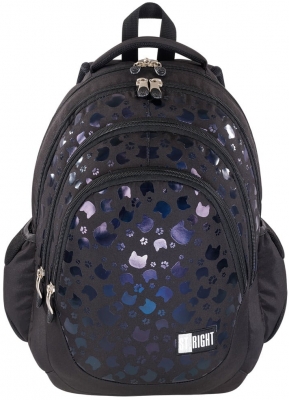 Ghiozdan scolar cu 4 compartimente, ergonomic, iImpermeabil, colectia St.Right Black Cats + cadou set agenda cu pix, St.Majewski, Wednesday mov