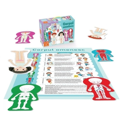 Noriel puzzle, Corpul omenesc