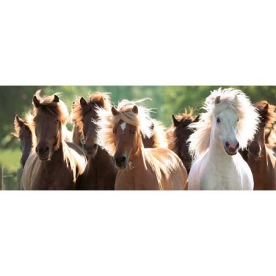 Puzzle cai salbatici, 1000 piese Ravensburger