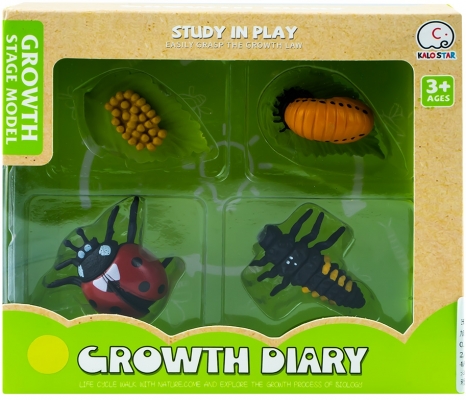 Set figurine, ciclul vietii buburuzei