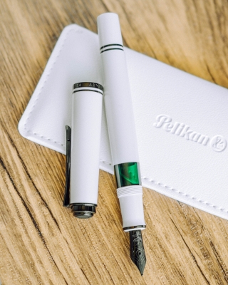 Stilou Souveran M670 F Editie Speciala Warm Grey, penita aur 14k, accesorii placate culoare negru, corp gri, Pelikan