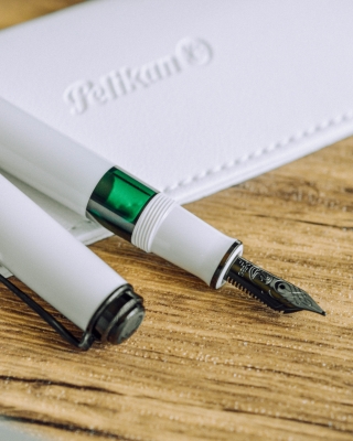 Stilou Souveran M670 F Editie Speciala Warm Grey, penita aur 14k, accesorii placate culoare negru, corp gri, Pelikan