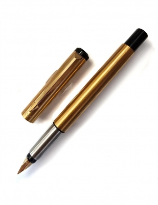 Stilou Vector Gold, SS, Parker