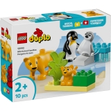 Familii de animale salbatice: Pinguini si lei 10442 LEGO DUPLO