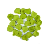 Petale Lux Verde Deschis 100 buc/Set  Big Party