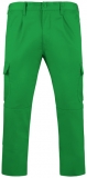 Pantaloni Daily, pentru barbati, Verde Gradina, Roly