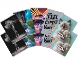 Caiet A5 48 file, hartie 70g/mp FSC mix, patratele, Megamix 3, diverse modele, 10 buc/set, Herlitz