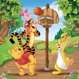 Puzzle Winnie The Pooh, 3X49 Piese Ravensburger
