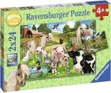 Puzzle Ferma Animalelor, 2X24 Piese Ravensburger