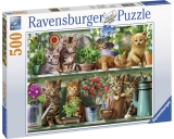 Puzzle Pisici Pe Raft, 500 Piese Ravensburger
