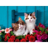 Puzzle Pisicute, 500 Piese Ravensburger