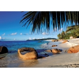 Puzzle Palmier La Plaja, 1000 Piese Ravensburger