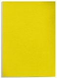 Coperti din carton delta A4 100 buc/set Fellowes galben