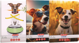Caiet A5, 48 file, dictando, colturi rotunjite, motiv Cool Dog, diverse modele