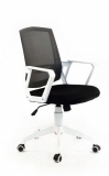 Scaun de birou ergonomic Blanca
