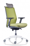 Scaun de birou ergonomic verde Tesla PDH 