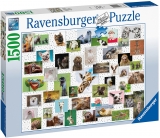 Puzzle colaj cu animale, 1000 piese, Ravensburger 