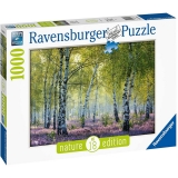 Puzzle Padurea de mesteacan, 1000 piese, Ravensburger 