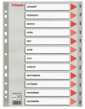 Index din plastic, A4, index ianuarie - decembrie, Esselte