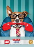 Caiet A5, 48 file, matematica, Cool Dog, Premium, 10 buc/set, Herlitz
