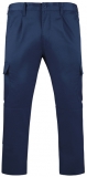 Pantaloni Daily, pentru barbati, Bleumarin, Roly 