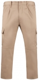 Pantaloni Daily, pentru barbati, Camel, Roly 