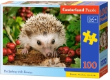 Puzzle 100 piese, diverse modele, Castorland
