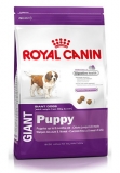 Hrana pentru caini Giant Puppy 15 kg Royal Canin