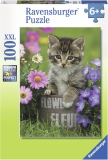 Puzzle Pisicuta Intre Flori, 100 Piese Ravensburger
