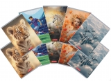 Caiet A5 48 file, hartie 70g/mp FSC mix, dictando, Megamix 2,diverse modele, 10 buc/set Herlitz