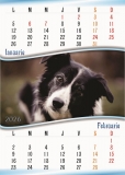Calendar perete, A3, catei, 2026