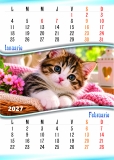 Calendar perete, A3, pisici, 2027