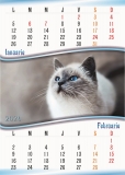 Calendar perete, A3, pisici, 2026