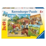 Puzzle lumea cailor , 3x49 piese Ravensburger