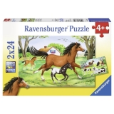 Puzzle lumea cailor, 2x24 piese Ravensburger